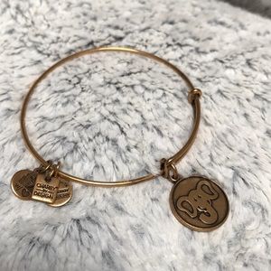 Alex and Ani bracelet